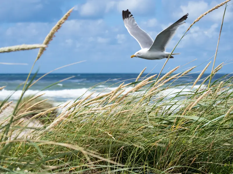 markerwadden-2